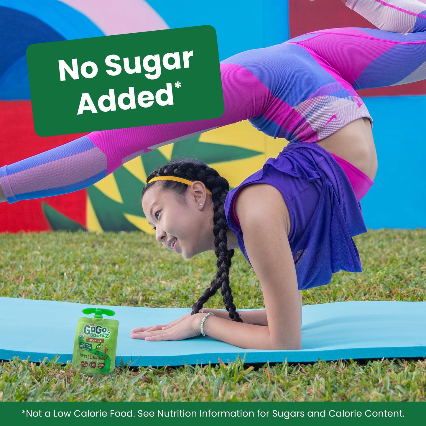 GoGo squeeZ Organic Applesauce and Fruit Puree  Apple Cinnamon  3.2 oz (Pack of 4)  Unsweetened Organic Fruit Snacks for Kids  Gluten Free  Nut Free and Dairy Free  Recloseable Cap  BPA Free Pouches
