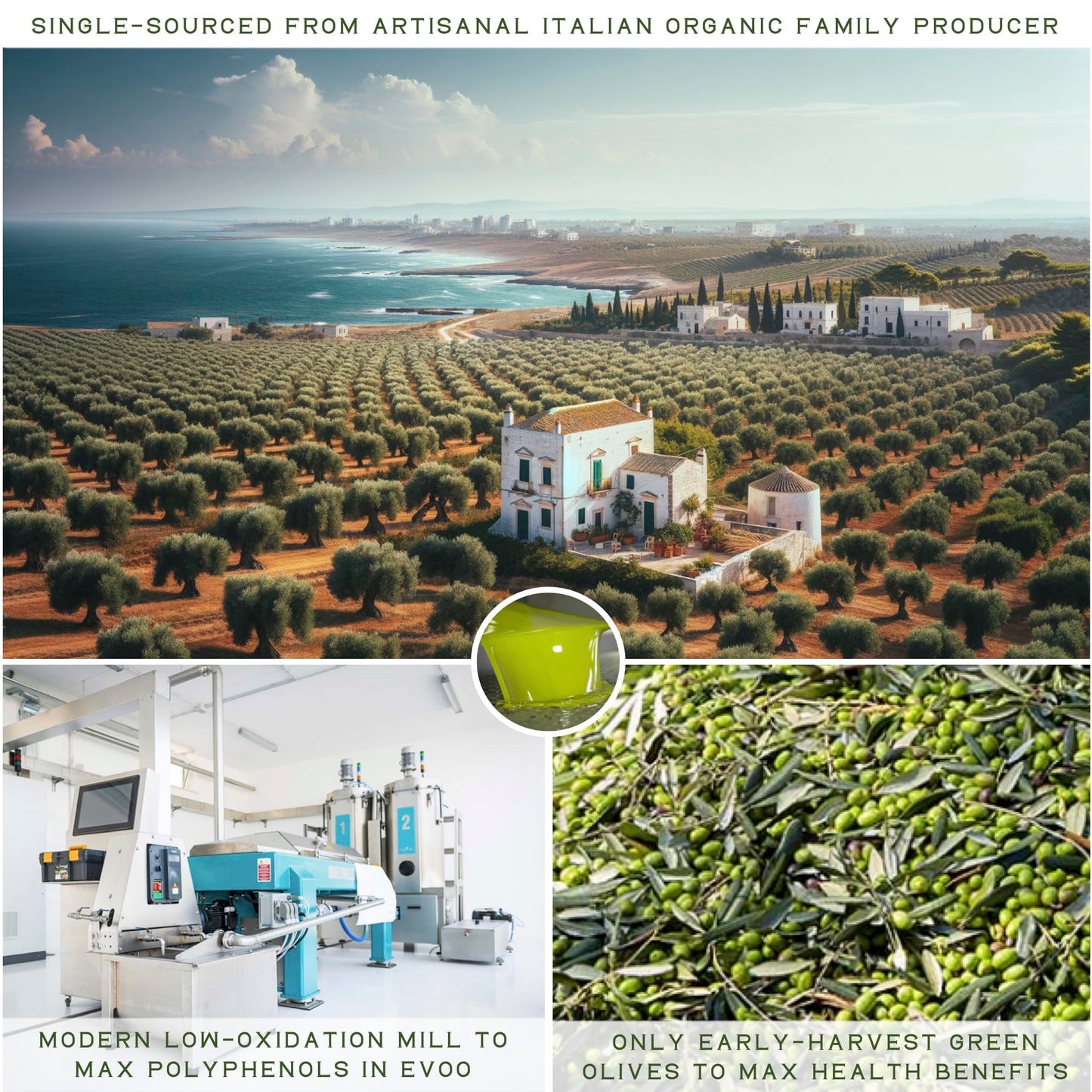 WellEatable Organic Extra Virgin Olive Oil, Polyphenol Rich, 16.9 fl oz, Early Harvest from Italy, Green