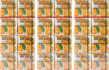 Marukawa Bubble Gum Orange 1.52Oz (3 Pack)