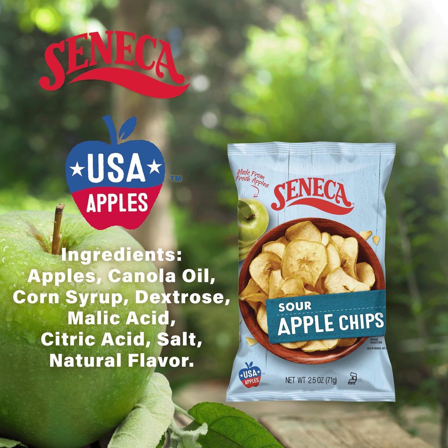 Seneca Sour Apple Chips | Made From Fresh Apples | 100% Granny Smith Apples | Yakima Valley Orchards Of Washington | Crisped Apple Perfection | Foil-Freshness Bag | 2.5 Ounce (Pack Of 12)
