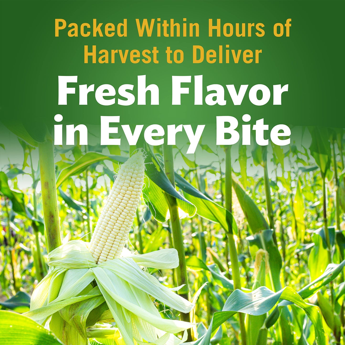 Del Monte Fresh Cut Sweet White Whole Kernel Corn, Canned Vegetables, 15.25 Oz, Pack of 12