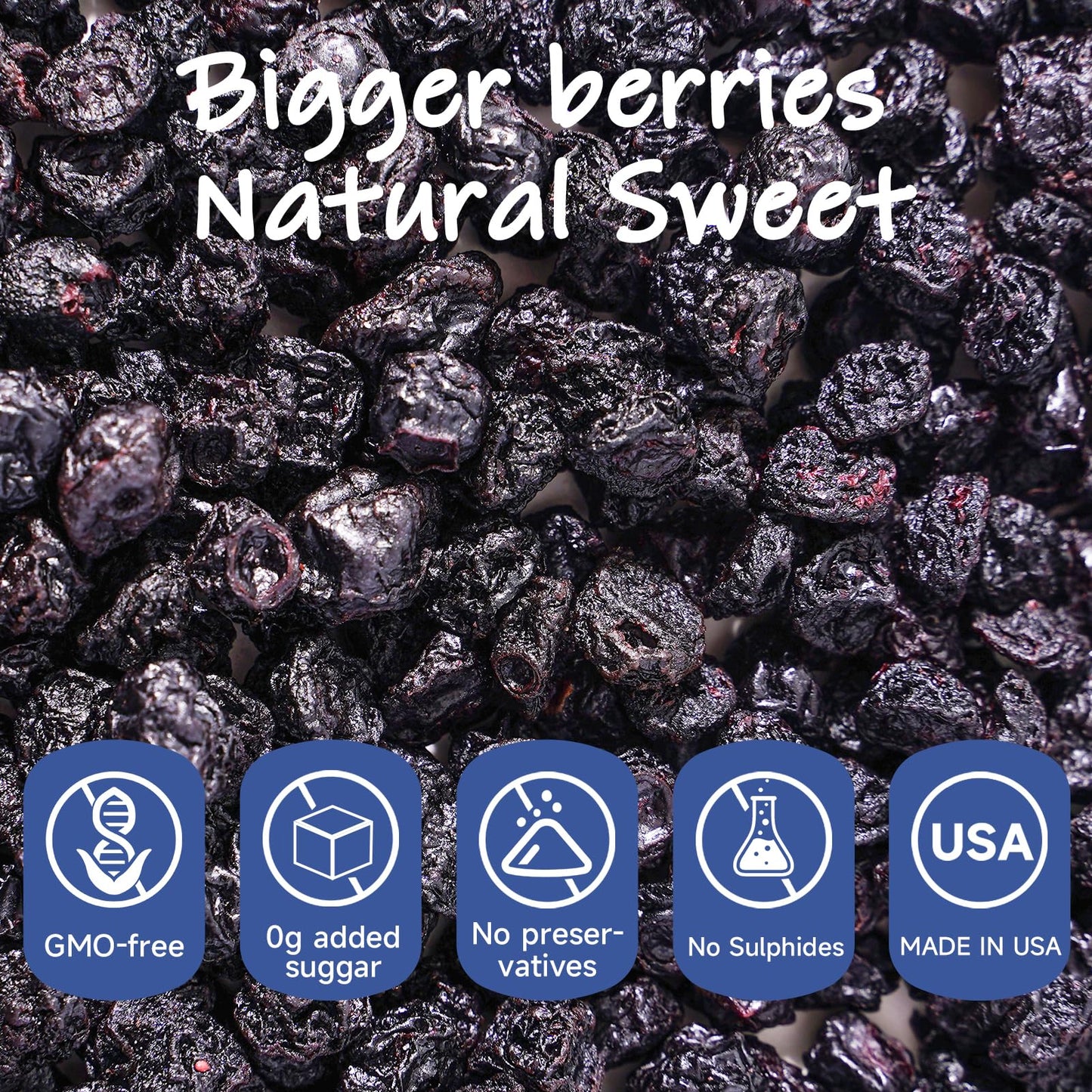 Premium Big Dried Blueberries No Sugar Added 3 Oz, 100% Unsweetened, Us-Grown Blueberry No Preservatives, Non-Gmo Healthy Tasty