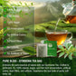 Gymnema Tea Bags For Diabetics - Cold-Dried For Maximum Freshness And Nutrient Retention - 45 Gurmar Tea Bags (45, Gymnema Sylve