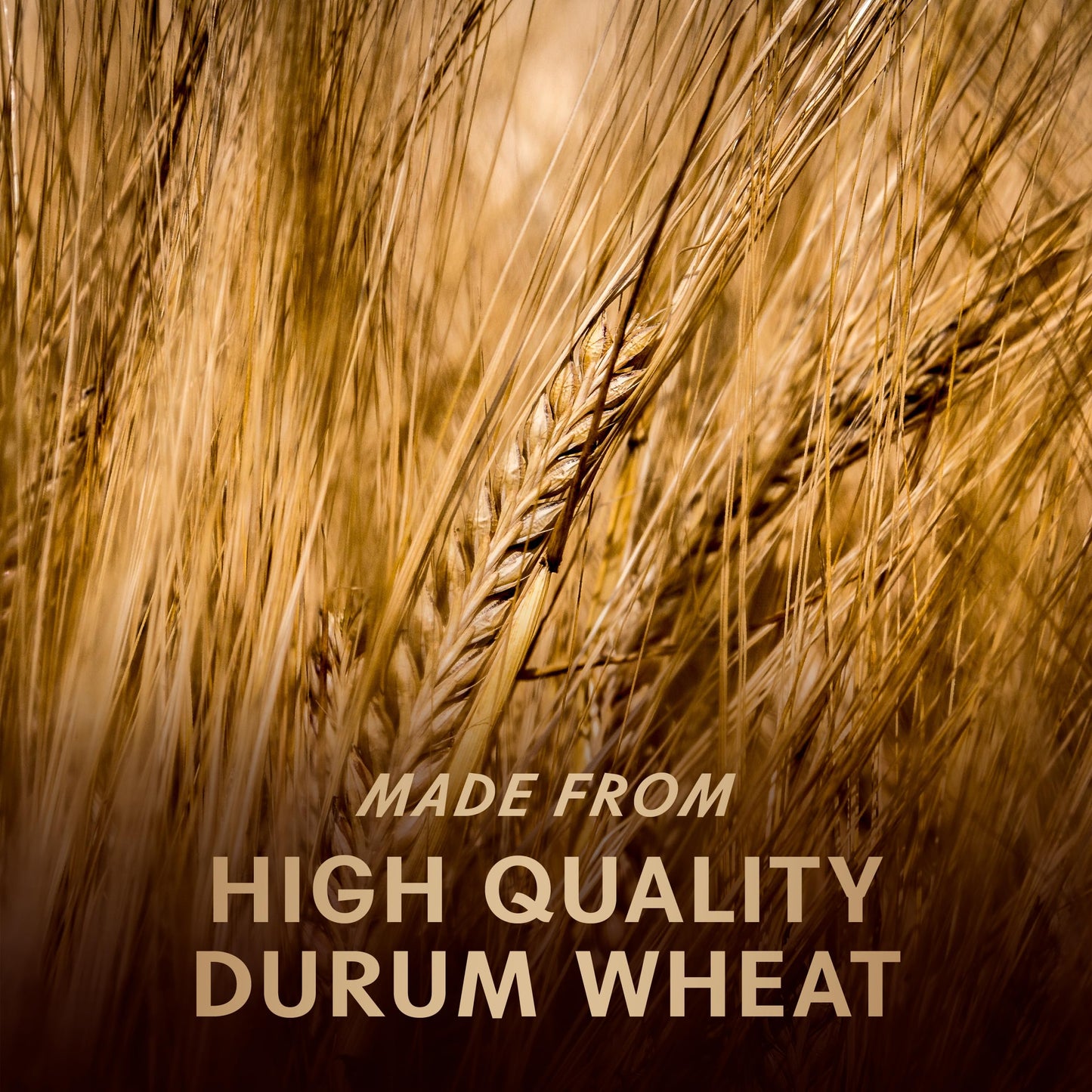 Barilla Al Bronzo Spaghetti Pasta (1 lb)  Bronze Cut Pasta Created fromwell-made Durum Wheat  Imported from Italy  Non-GMO  Kosher