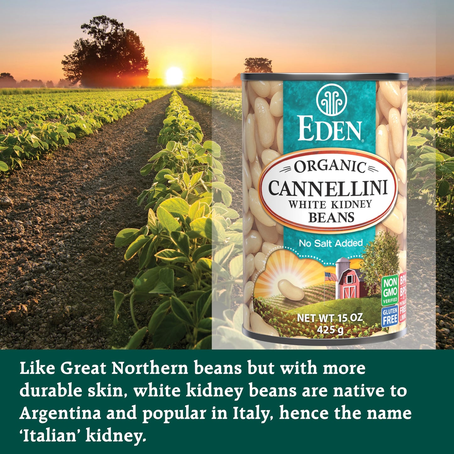 Eden Organic Cannellini White Kidney Beans, No Salt Added, 15-Ounce Cans (Pack Of 12)