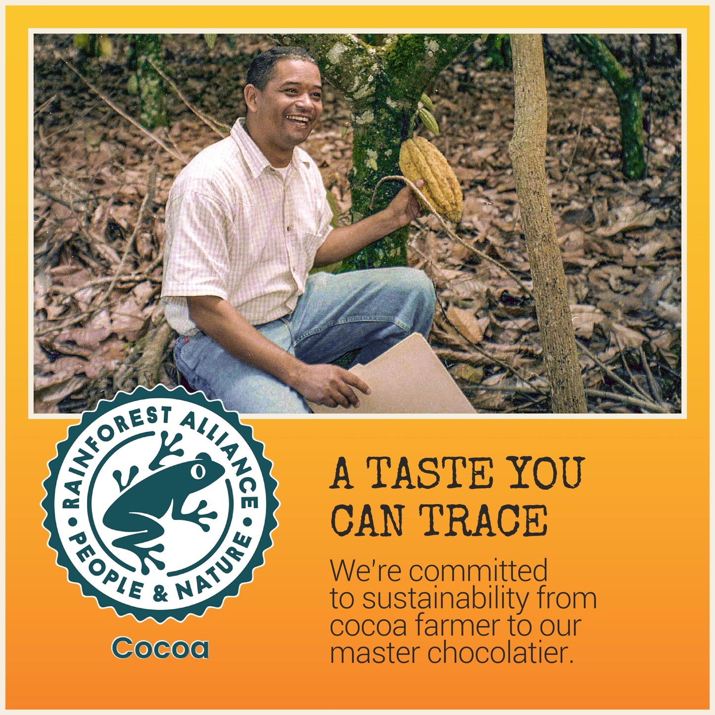 Chocolove Orange Peel Dark Chocolate Bars | 55% Cocoa | Tangy Orange Peel Bits | Smooth & Sweet | Premium Belgian Dark Chocolate