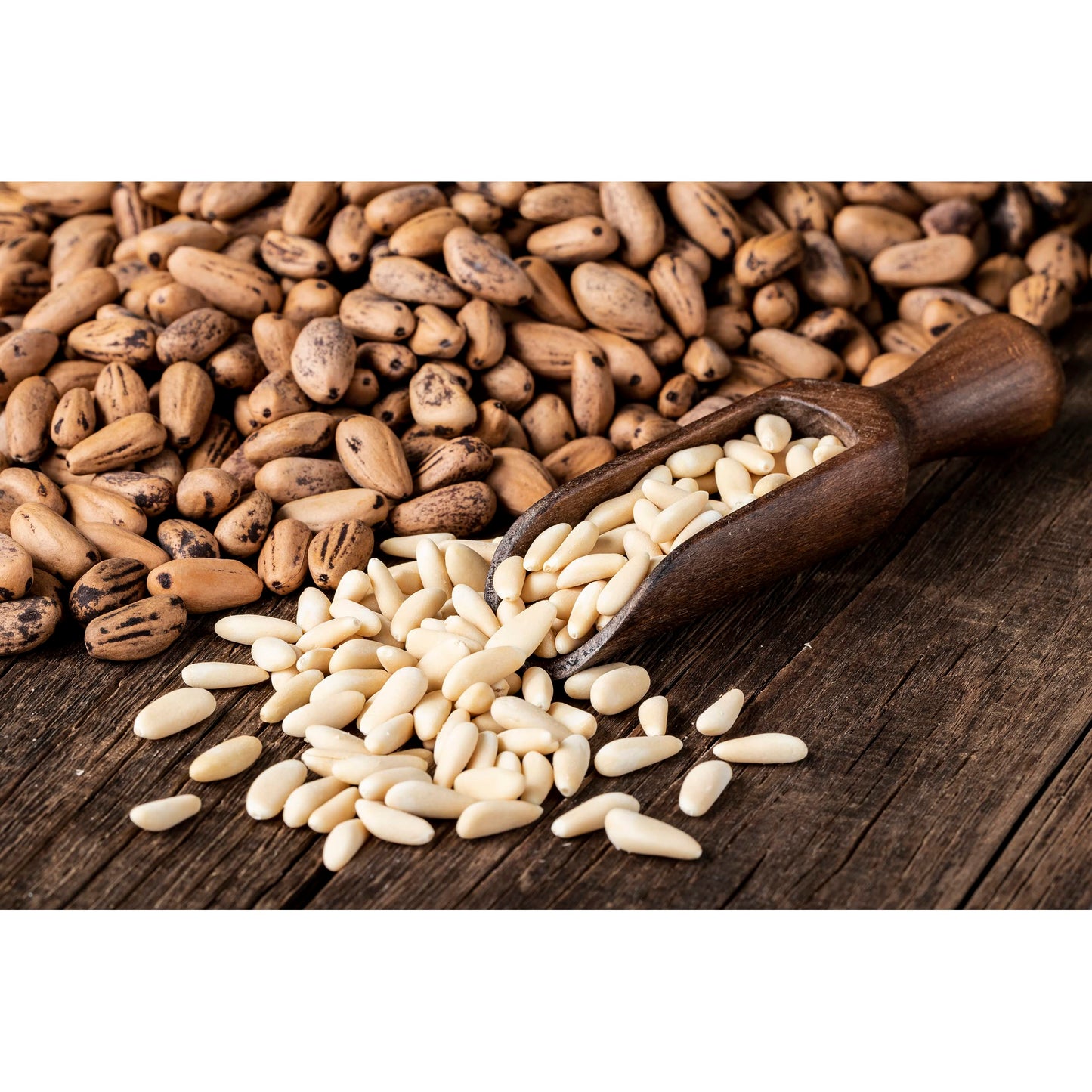 Cerez Pazari World Famous Mediterranean Turkish Pine Nuts In Resealable Bag 4 Oz- Cam Fistigi - Premium Quality, Raw, Unsalted,%