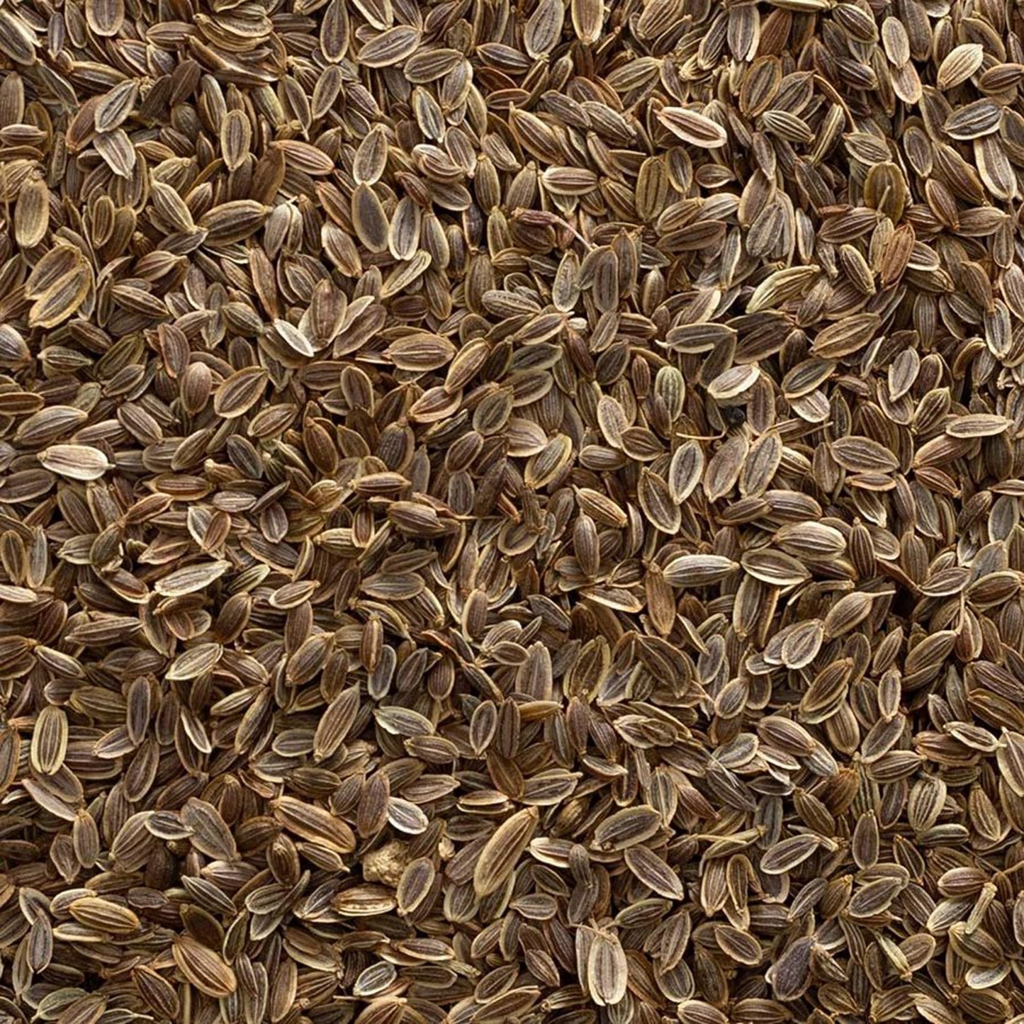 Frontier Co-op Organic Whole Dill Seed 1lb - 1 Pound (Pack of 1)