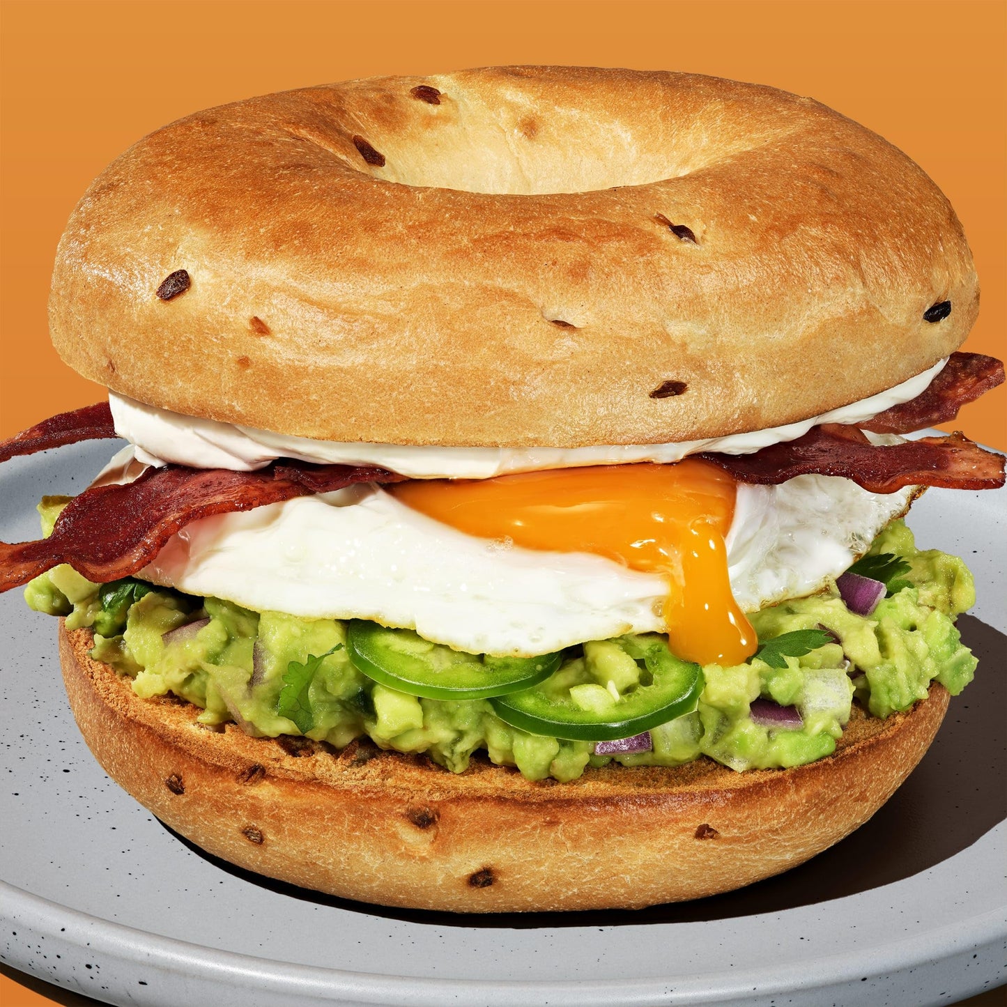 Thomas Onion Bagels, 6 Pre-Sliced Bagels with No High Fructose Corn Syrup, 20 Oz Bag
