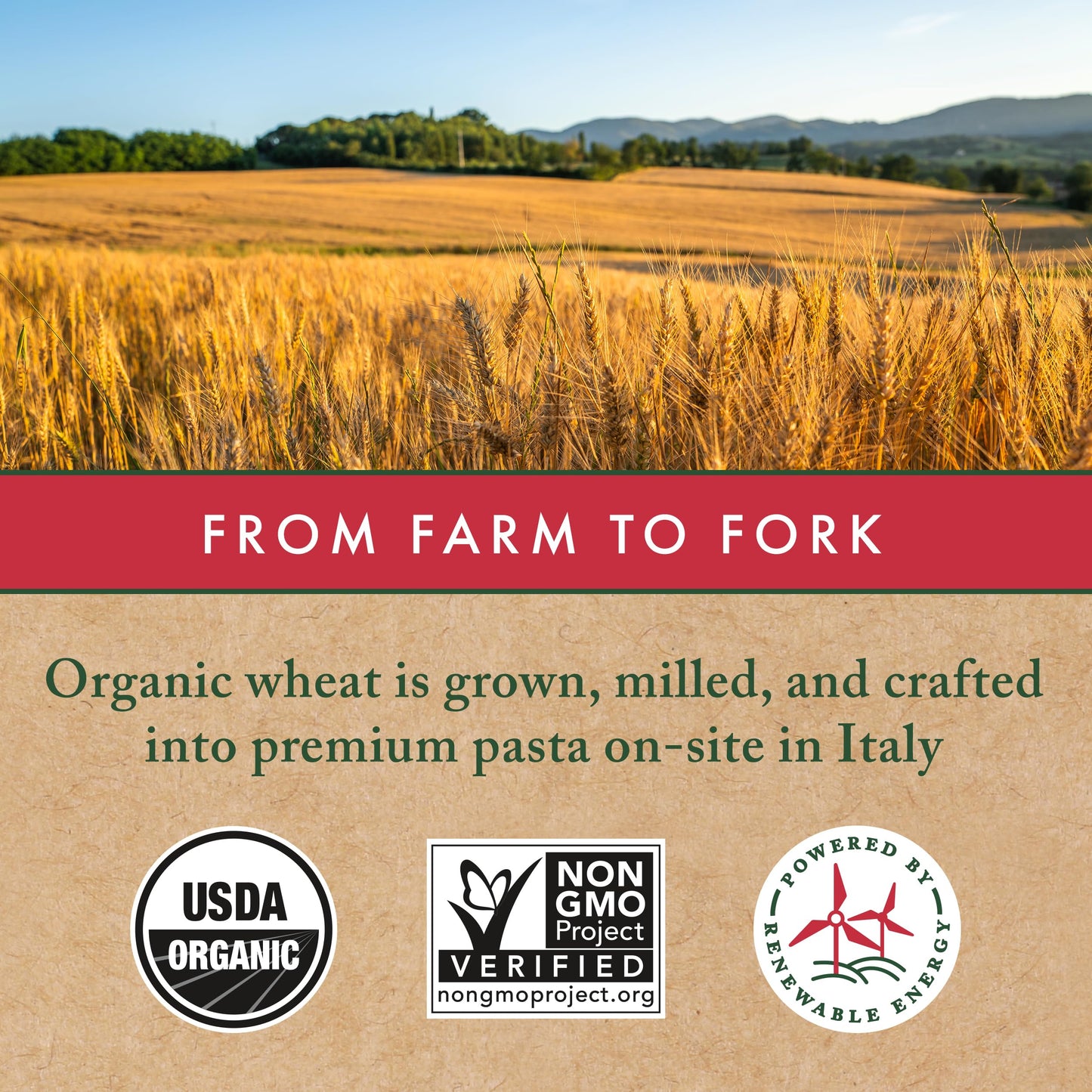 MONTEBELLO Organic Maccheroni Pasta, 16 Ounce (1 lb), Yellow