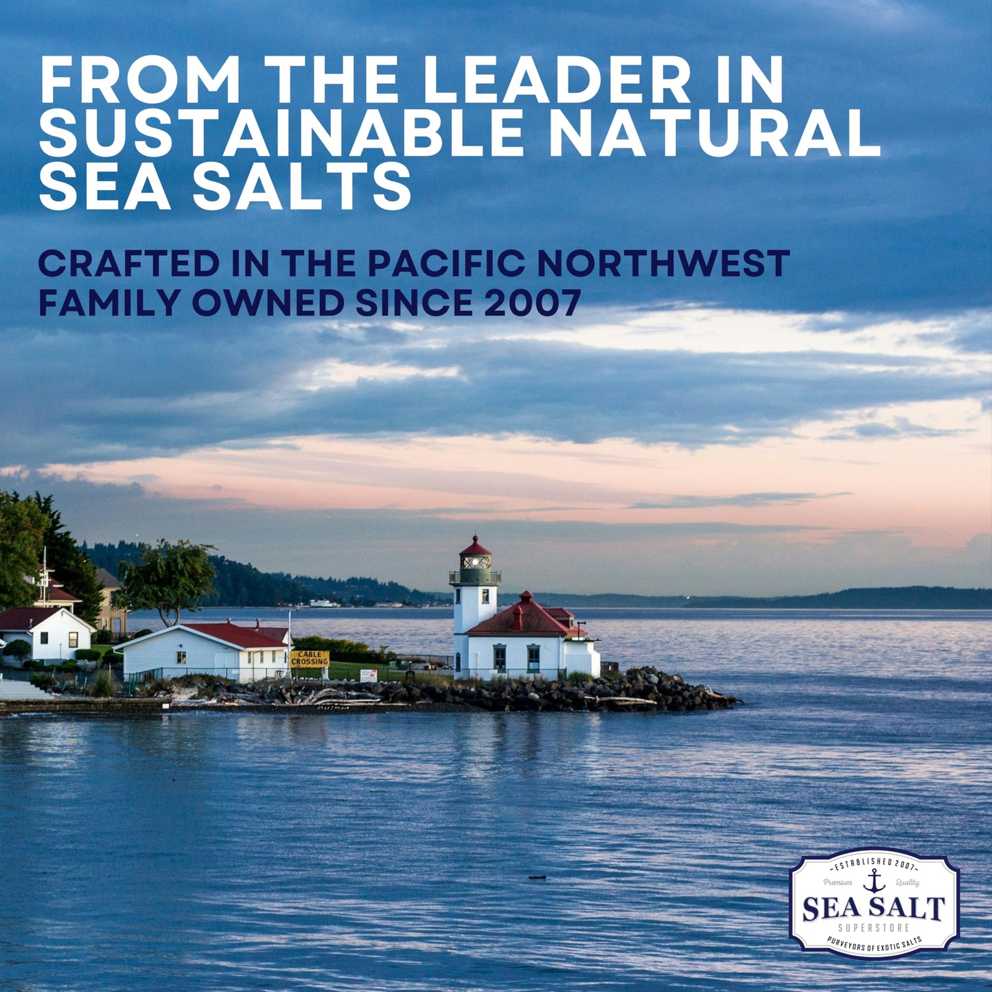 Rock Salt for Ice Cream Making  Universally Compatible Coarse and Non-Iodized Salt for All Ice Cream Maker  30 oz Bag