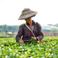 Yim Tea Co. - Thai Tea Mix - 100% Natural Loose Leaf - Made With Assam Black - for Iced and Boba Tea (200g)
