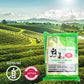 MAEDA-EN Sen-cha with Matcha Green Tea, 200 Individually Wrapped Teabags, 100 Count (Pack of 2), Authentic Japanese Green Tea