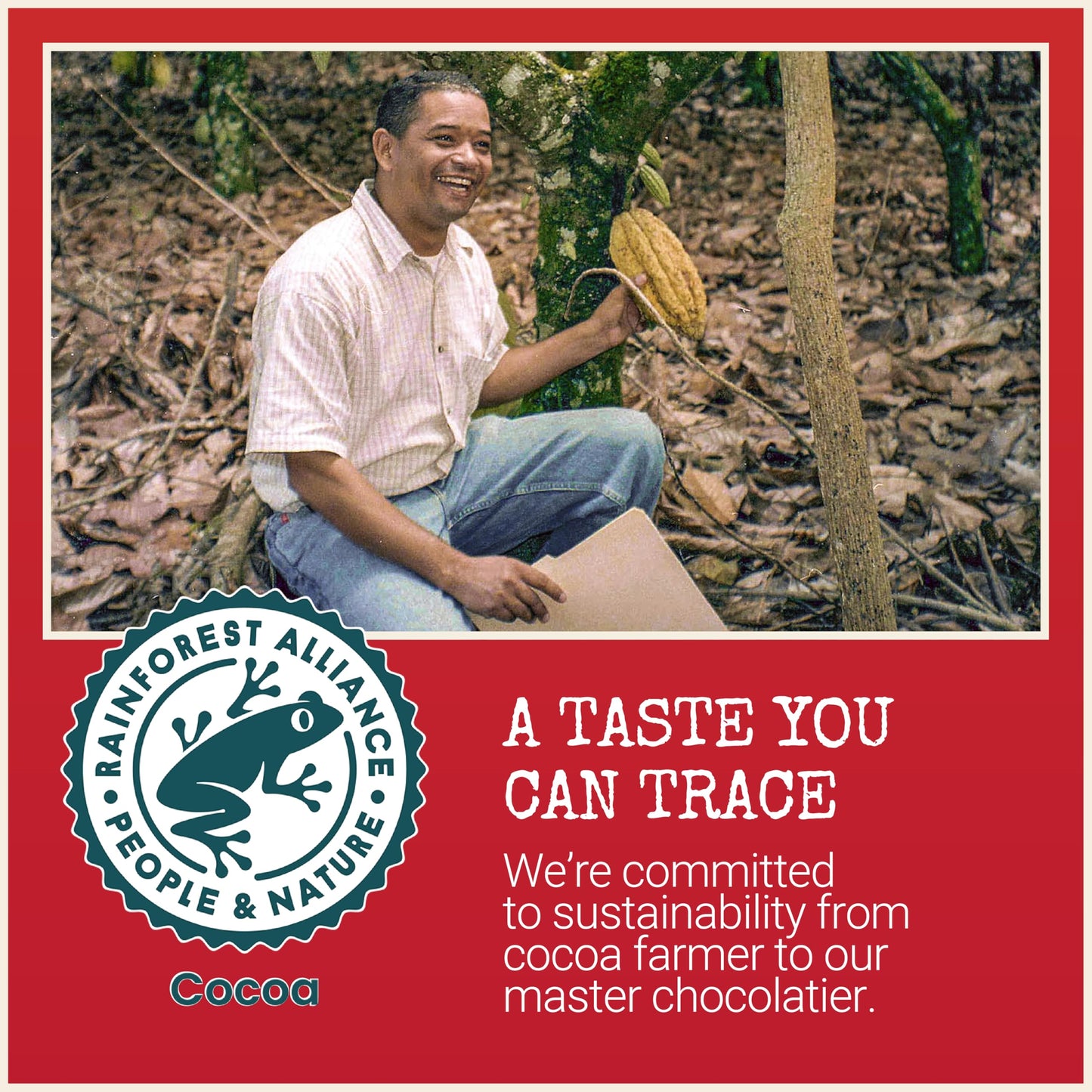 Chocolove Rich Dark Chocolate Bars | 65% Cocoa | Crafted With Semi-Sweet Belgian Chocolate| Non Gmo, Rainforest Alliance Certified, 3.2Oz Bar (12 Pack)