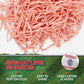 Big League Chew Strawberry Bubble Gum 3-Pack - 2.12oz Packets - Baseball Candy for   & Party Favors