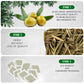 TeaDreamTea Olive Leaf Herbal Tea Bags - Caffeine Free - 50 Count