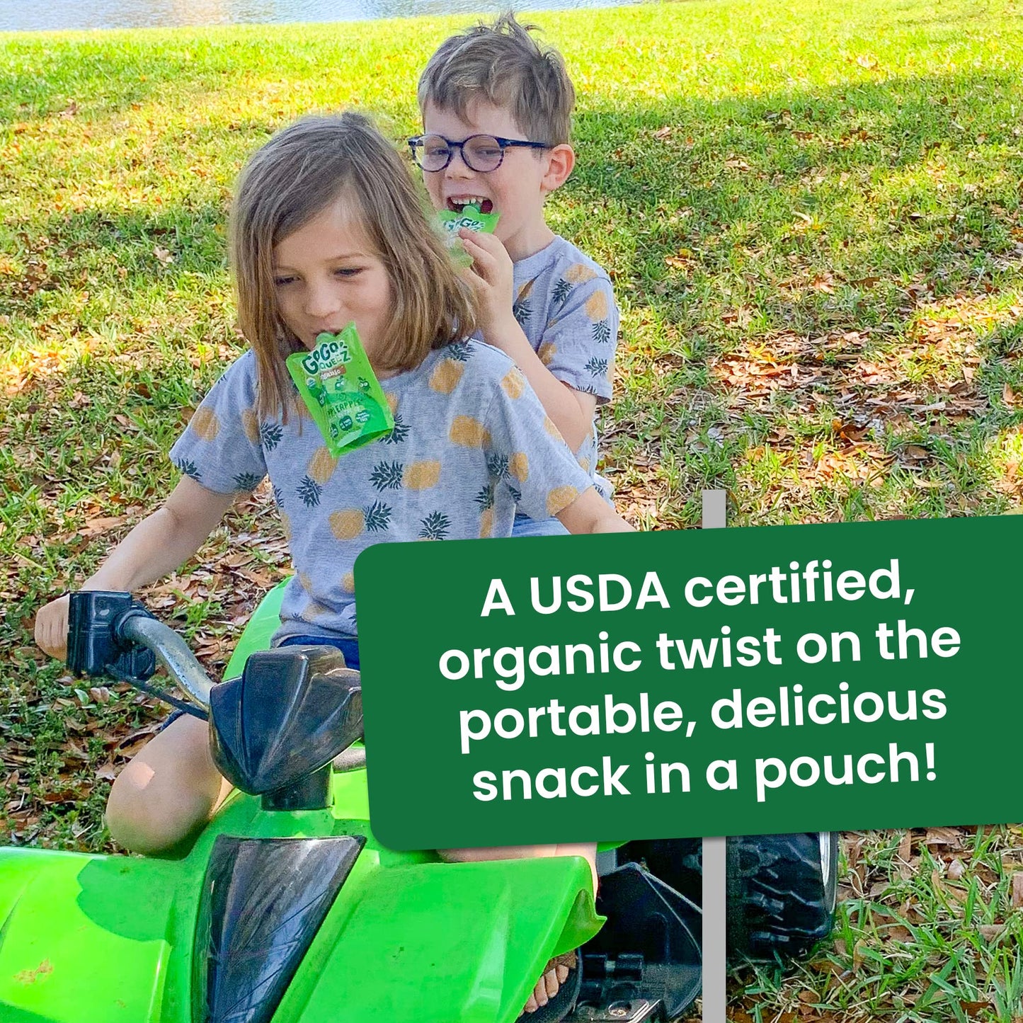 Gogo Squeez Fruit On The Go Organic, Apple Apple, 3.2 Oz (Pack Of 48), Unsweetened Organic Fruit Snacks For Kids, Gluten Free, N