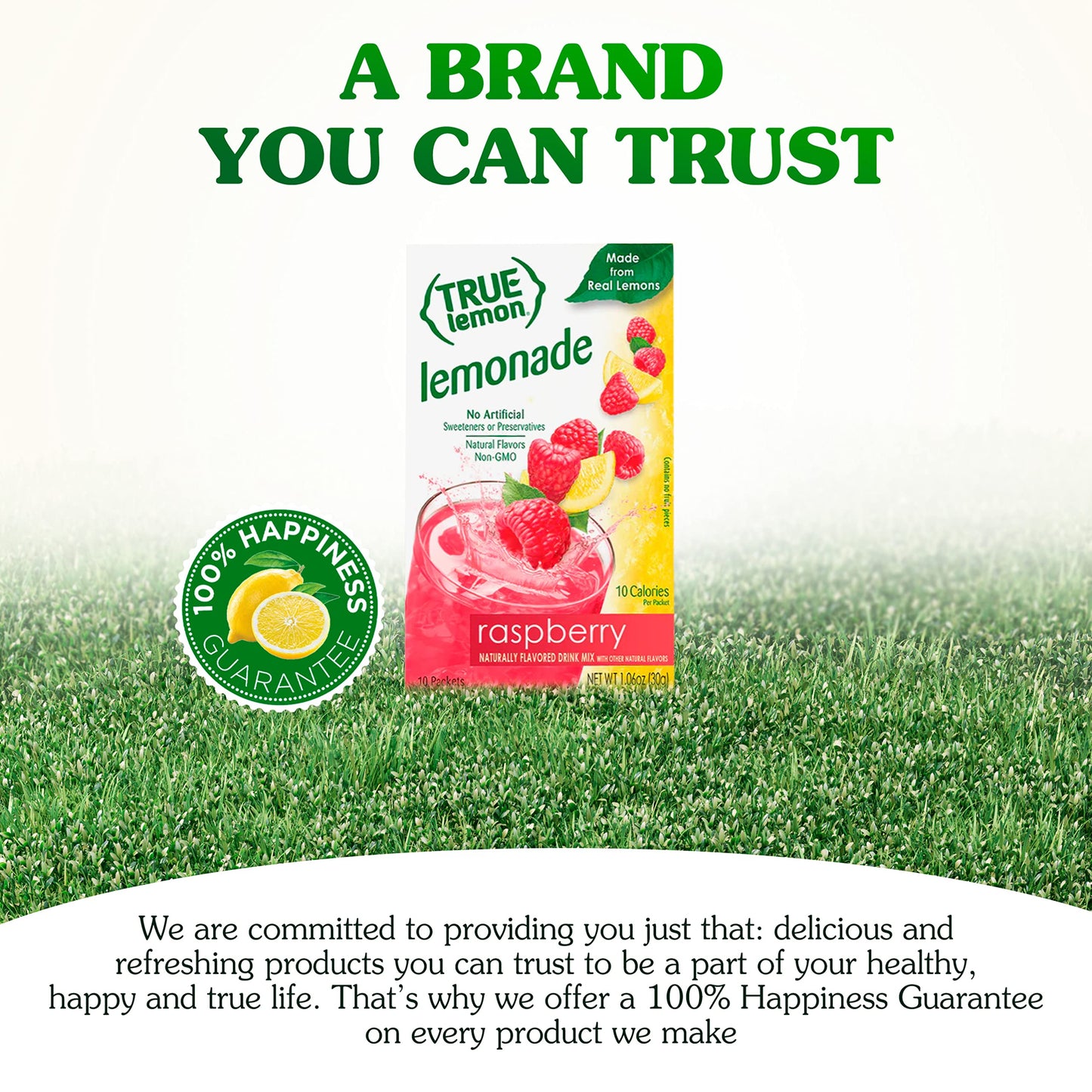 True Lemon Raspberry Lemonade Water Enhancer Drink Mix (120ct), Low Calorie Drink Mix Packets for Water, Powdered Drink Mixes &