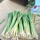 Generic 7 Fresh Lemongrass Stalks By Shiba Garden. Grown Farm Fresh