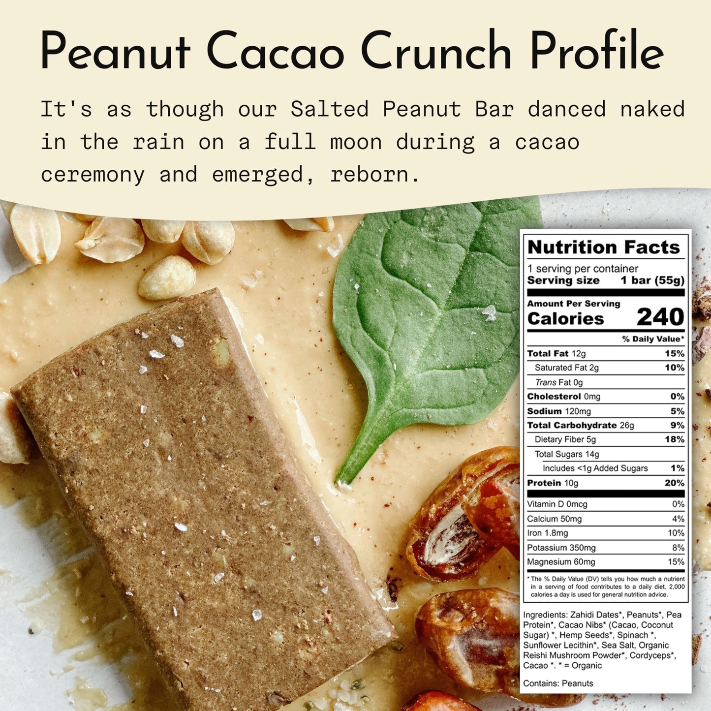 Send Bars Plant-Based Vegan Healthy Protein Bars, With Greens (Peanut Cacao Crunch, 8 Bars) – Only Real Ingredients, Zero Added Sugar, Gluten-Free, Dairy-Free