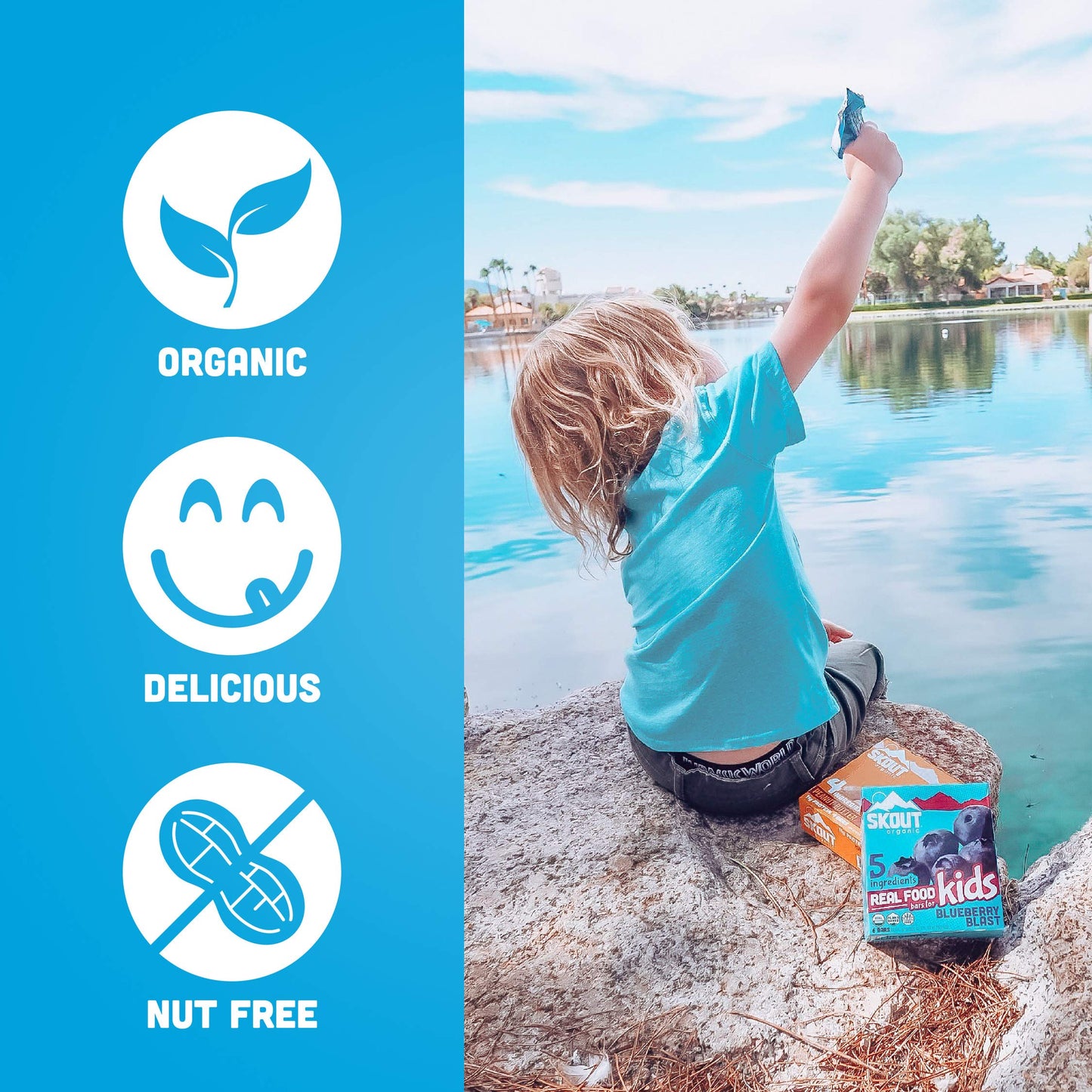 Skout Organic Blueberry Blast Real Food Bars For Kids (6 Pack) | Organic Snacks For Kids | Plant-Based Nutrition, No Refined Sug
