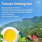 XINQING Taiwan Green Oolong Tea, High Mountain, 150g/5.3oz, Pack of 1