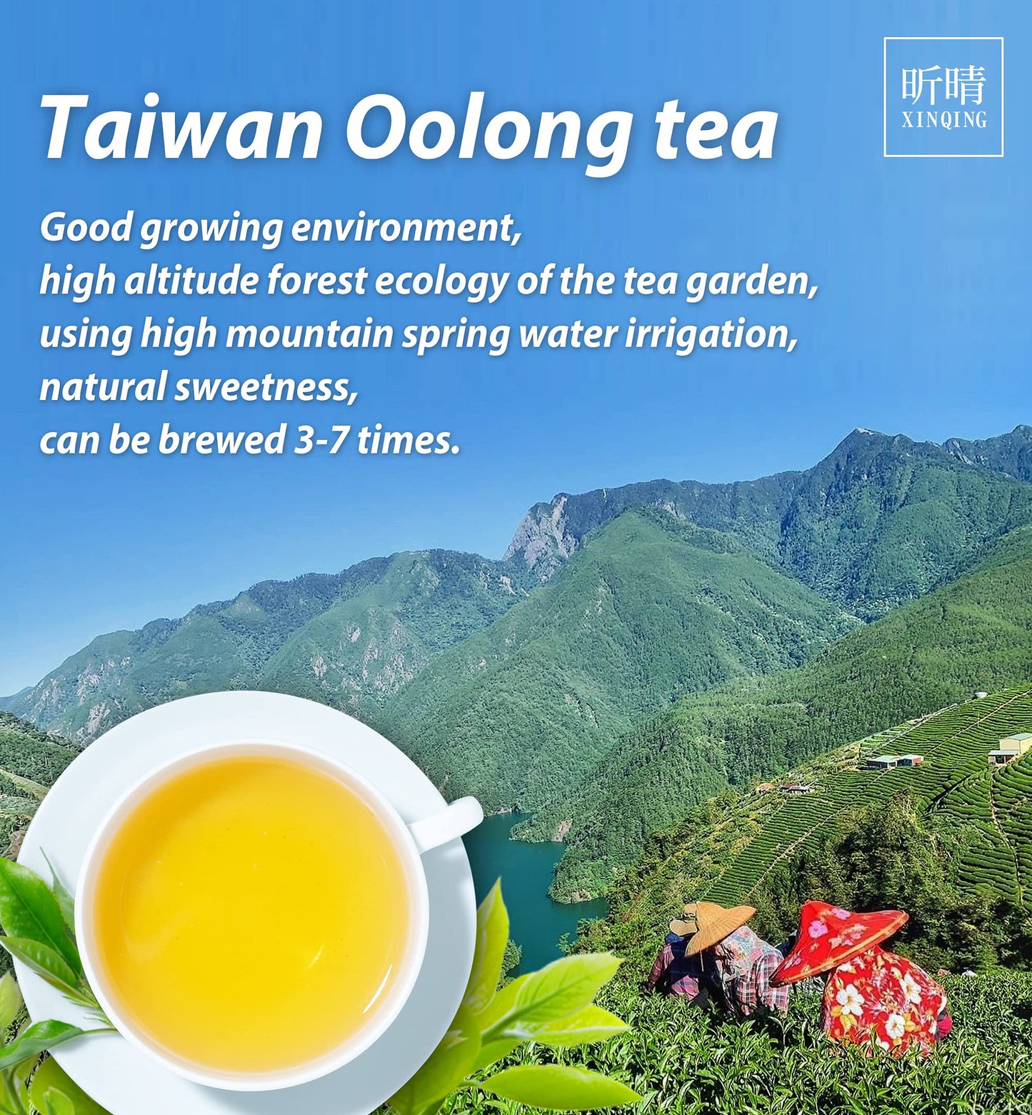 XINQING Taiwan Green Oolong Tea, High Mountain, 150g/5.3oz, Pack of 1