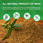 Jiva Organics Organic Garam Masala Powder 1 Pound Bulk Jar - Non-Gmo, Salt Free, Premium Indian Spice Blend