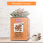 Brew La La Organic Green Tea - Chai Spice - 50 Tea Bags - Low Caffeine - USDA Certified Organic
