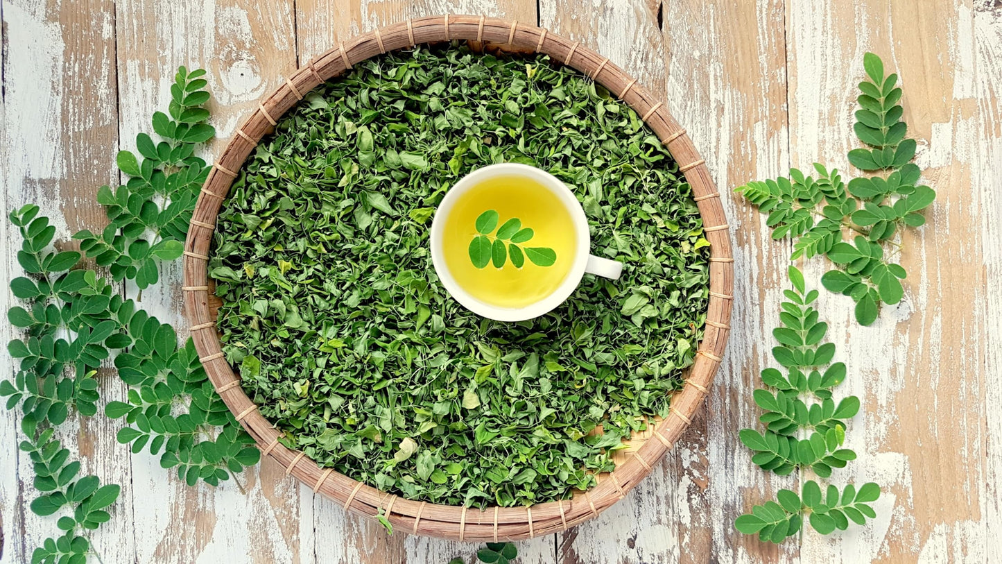 MOGO Organic Moringa Tea Bags - 100 Count, 100% Pure Dried Moringa Leaves, Antioxidant-Rich Herbal Tea