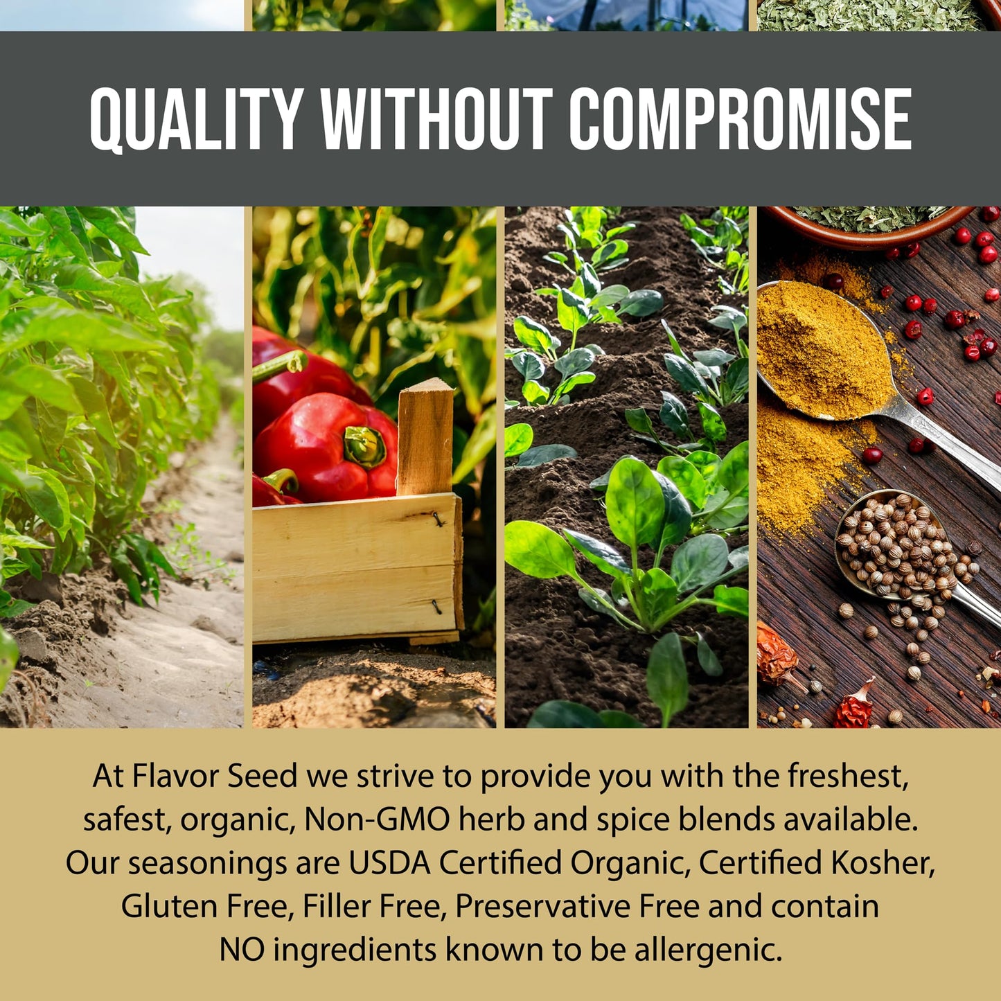 Flavor Seed Divine Bovine Organic Steak Seasoning & Rub, Gourmet Spice Blend For Cooking & Grilling Steak, Pork & Vegetables. Ca