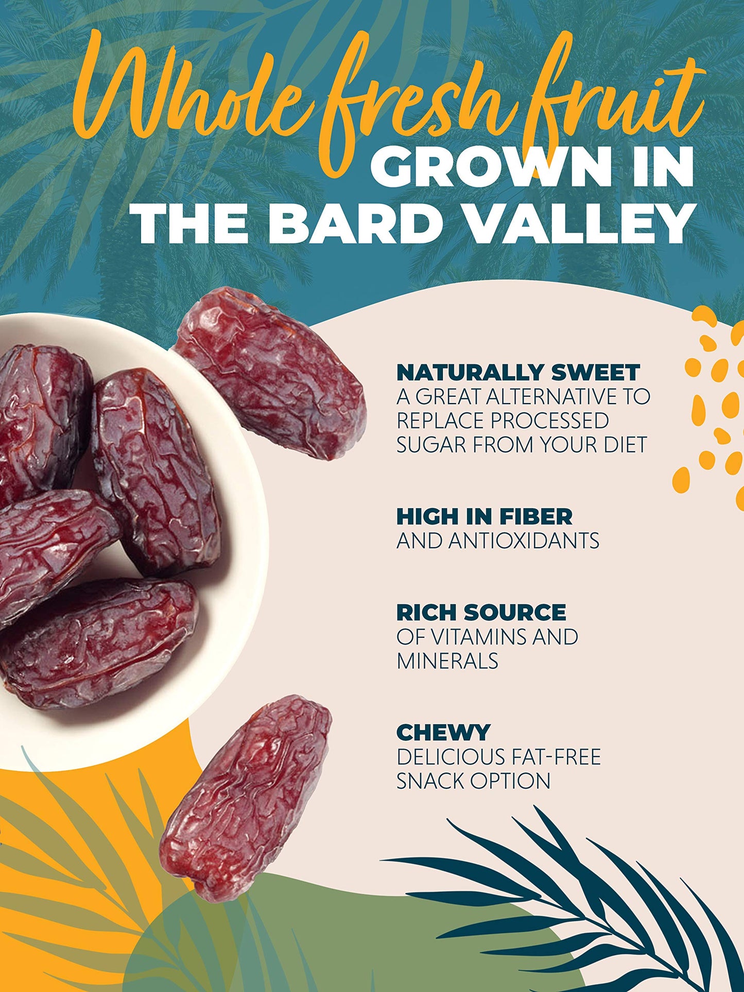 Natural Delights Organic Medjool Dates - Large & Plump, 1 lb Container, USDA Certified, Non-GMO, Good Source of Fiber, Naturally Sweet Snack