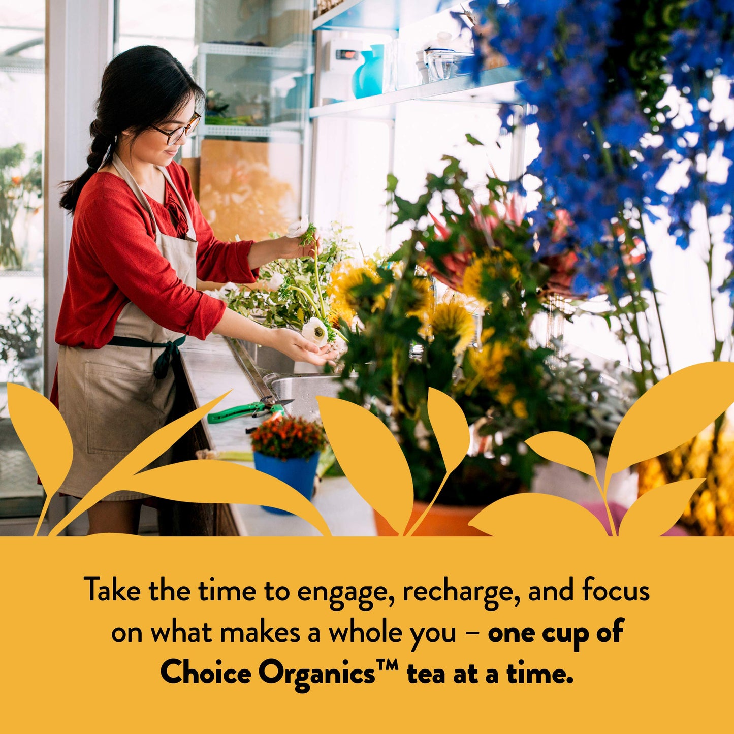 Choice Organics - Organic Genmaicha Tea (1 Pack) - Green Tea With Toasted Brown Rice - Compostable - 16 Organic Green Tea Bags