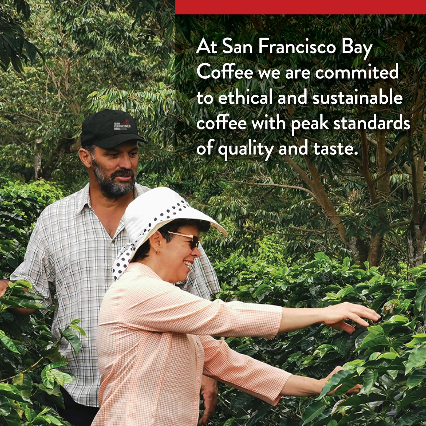 SF Bay Coffee DECAF Gourmet Blend 28 oz Bag, Ground Medium Roast, Swiss Water Process Decaffeinated