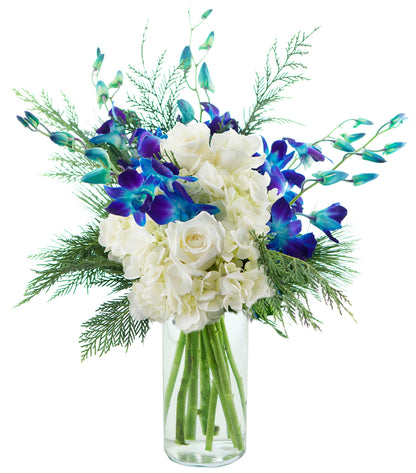 KaBloom Flowers - Mothers Day Collection - Moonlight Orchids| Fresh For Delivery Prime With Vase.Gift for Birthday, Get Well, T
