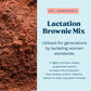 Mommy Knows Best Lactation Brownie Mix - Double Chocolate, 1.5 lb, Breastfeeding dietary product, Snack Alternative