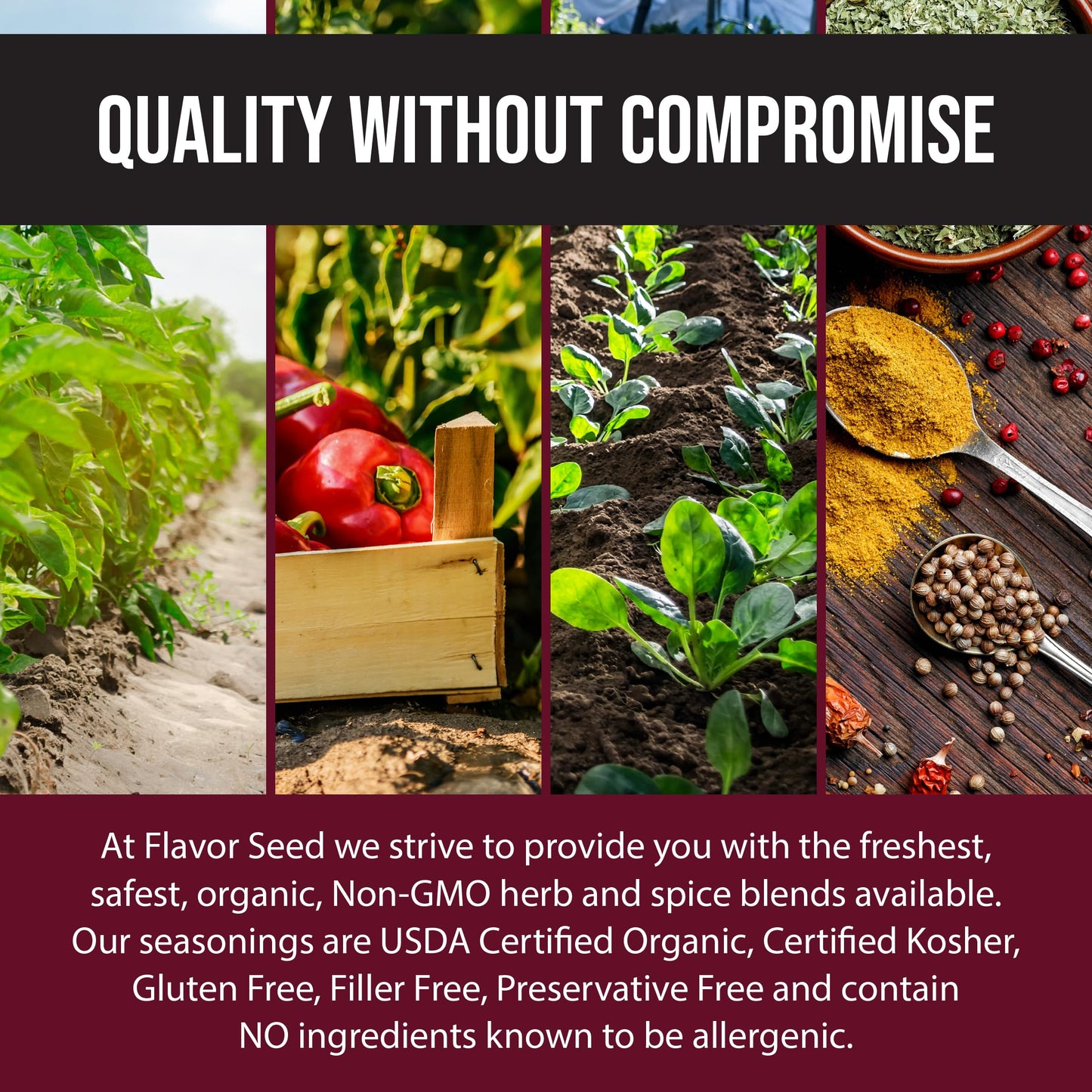 Flavor Seed Godfather Organic Italian Seasoning For Pasta Salad, Tomato Sauces, Pizza Toppings, Organic Salad. Mediterranean Ble