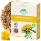 4 Oz. Dandelion Root Tea Dandelion Tea Herbal (Taraxacum Officinale) - 113G Herb Ra  Z De Diente De Le  N