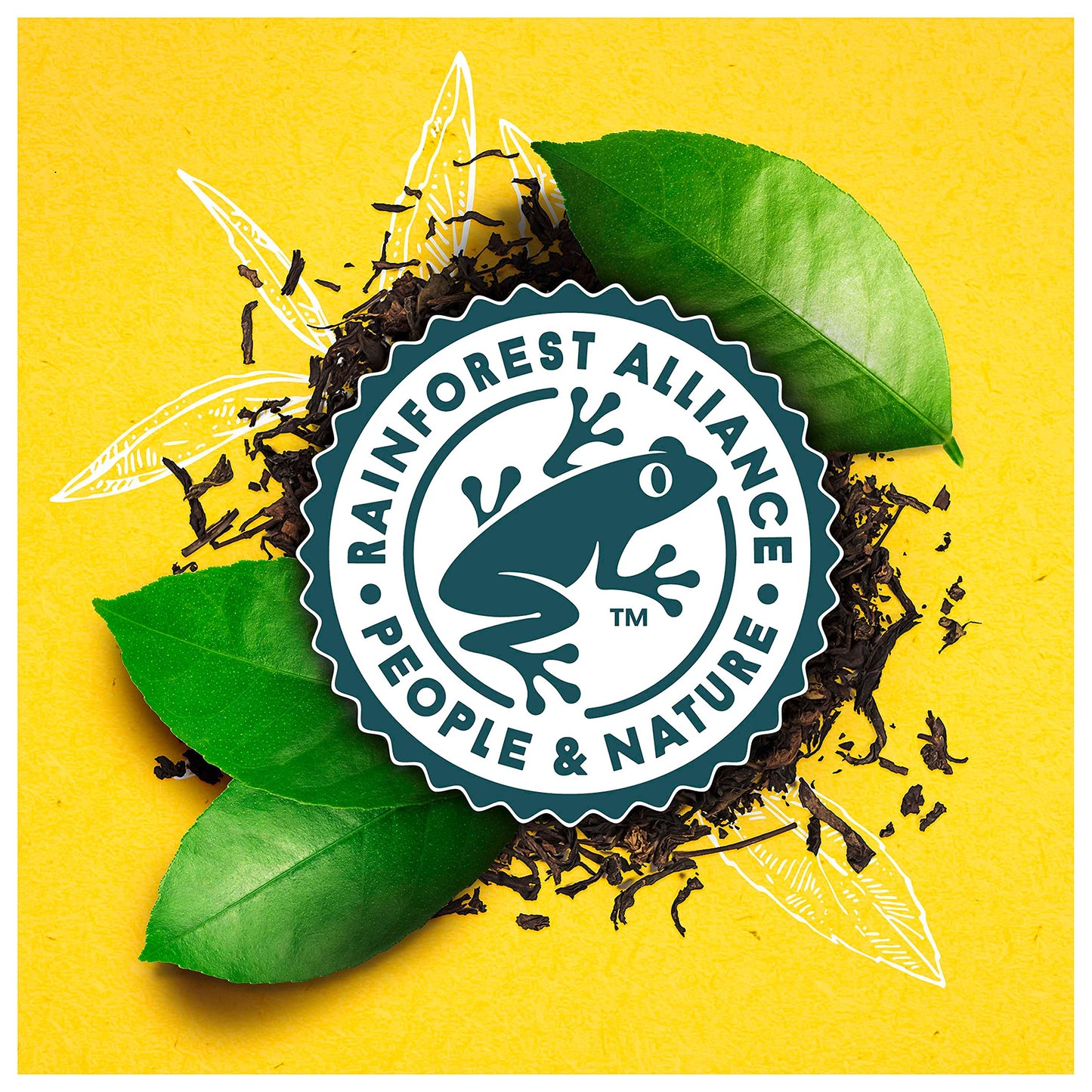 Lipton Black Tea