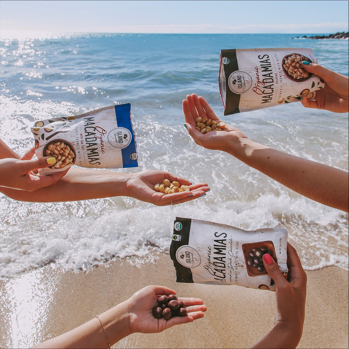 Island Harvest Organic Macadamia Nuts With Sea Salt - 100% Hawaiian Keto Friendly Nuts; All-Natural Non-GMO Macadamia Nuts Salte