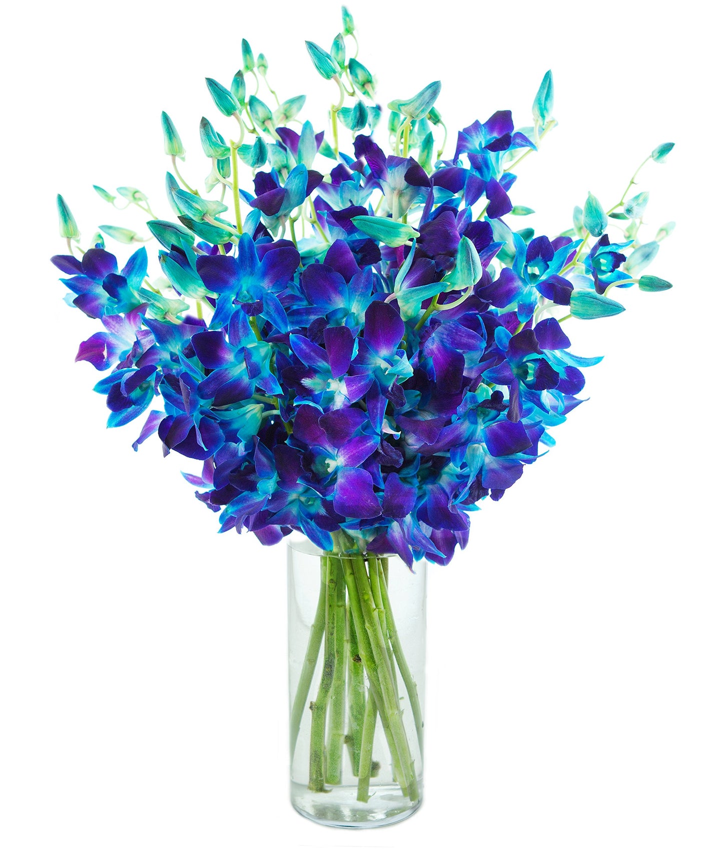 Kabloom - Exotic Blue Sapphire Orchid Bouquet Of 20 Fresh Blue Dendrobium Orchids With Vase - Fresh Flowers For Birthday  ValentineS & MotherS Day