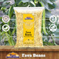 Rani Fava Beans (Split Broad Beans Skinless) 64Oz (4Lbs) 1.81Kg Bulk ~ All Natural | Gluten Friendly | Non-Gmo | Kosher | Vegan