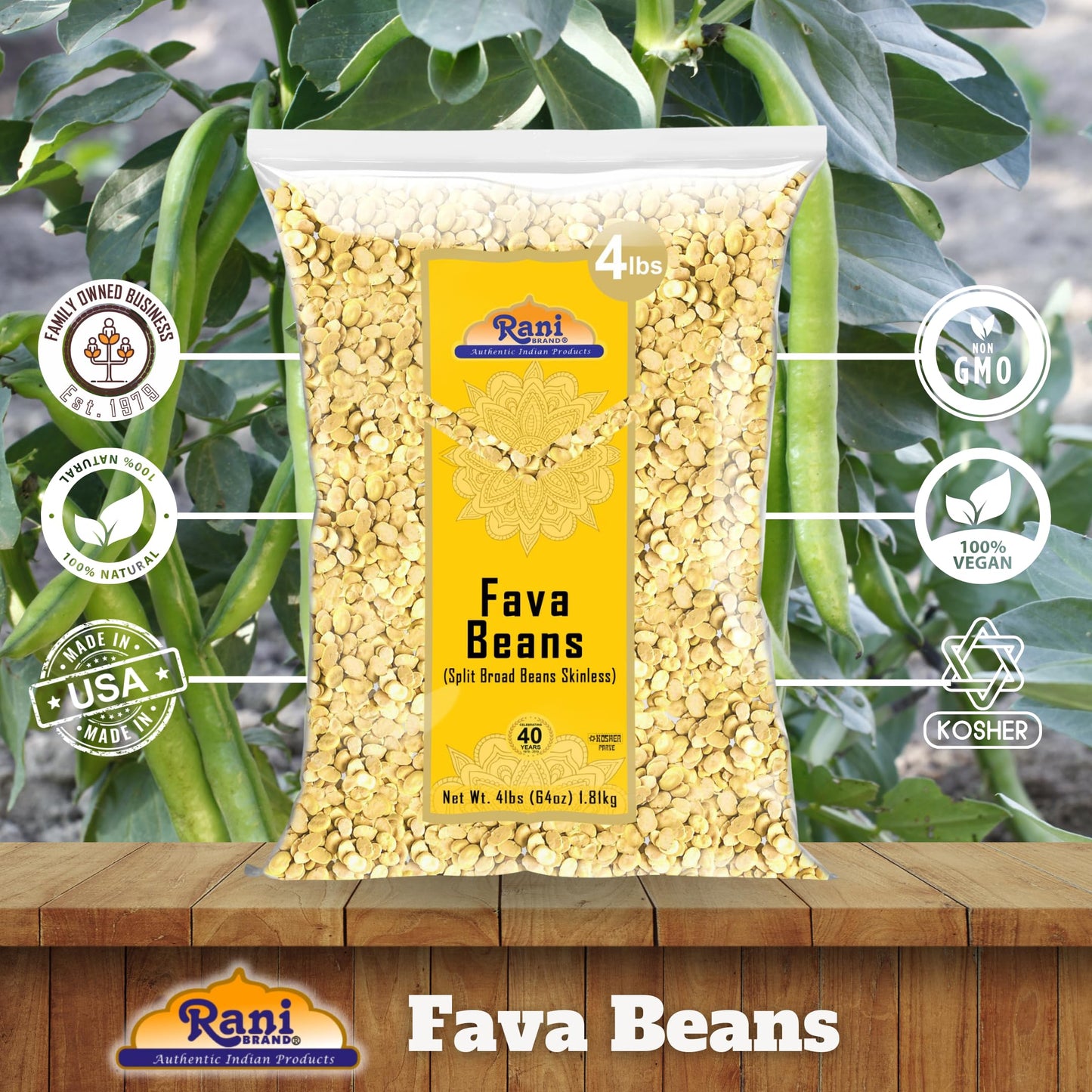 Rani Fava Beans (Split Broad Beans Skinless) 64Oz (4Lbs) 1.81Kg Bulk ~ All Natural | Gluten Friendly | Non-Gmo | Kosher | Vegan