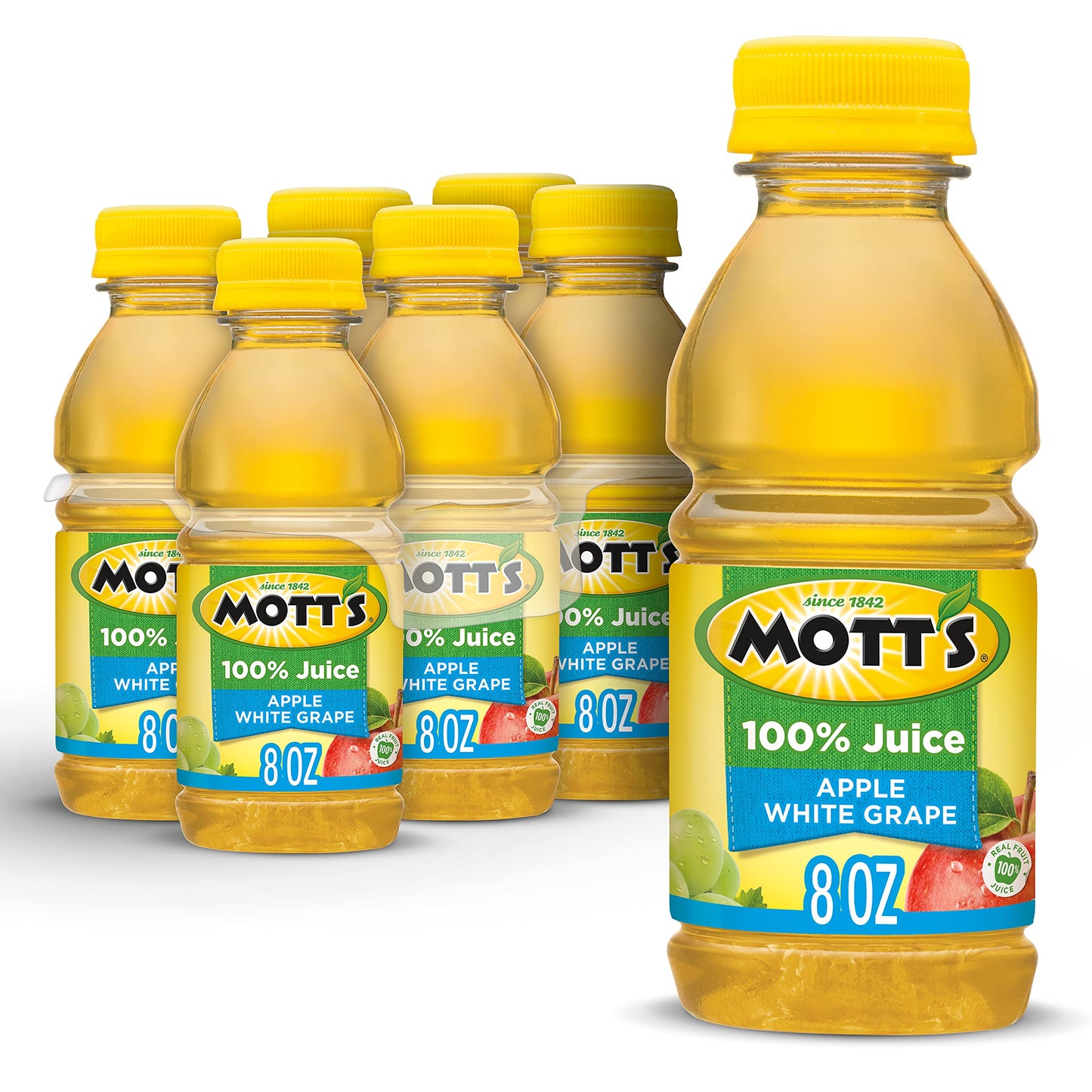 Motts 100% Apple White G Juice  8 fl oz bottles  6 pack
