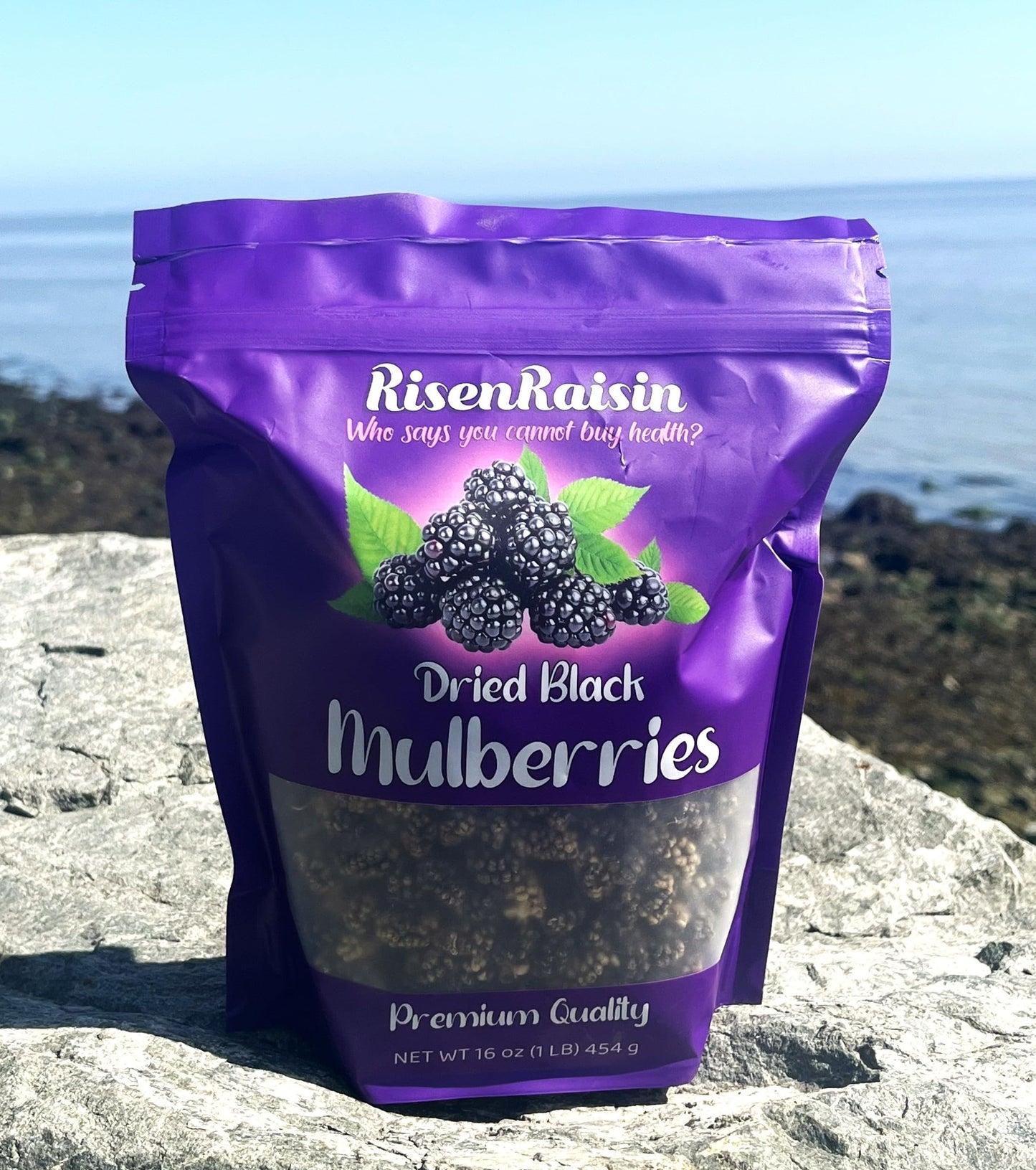 RisenRaisin Dried Black Mulberries, No Sugar Added, All Natural, 16 oz (1 LB)