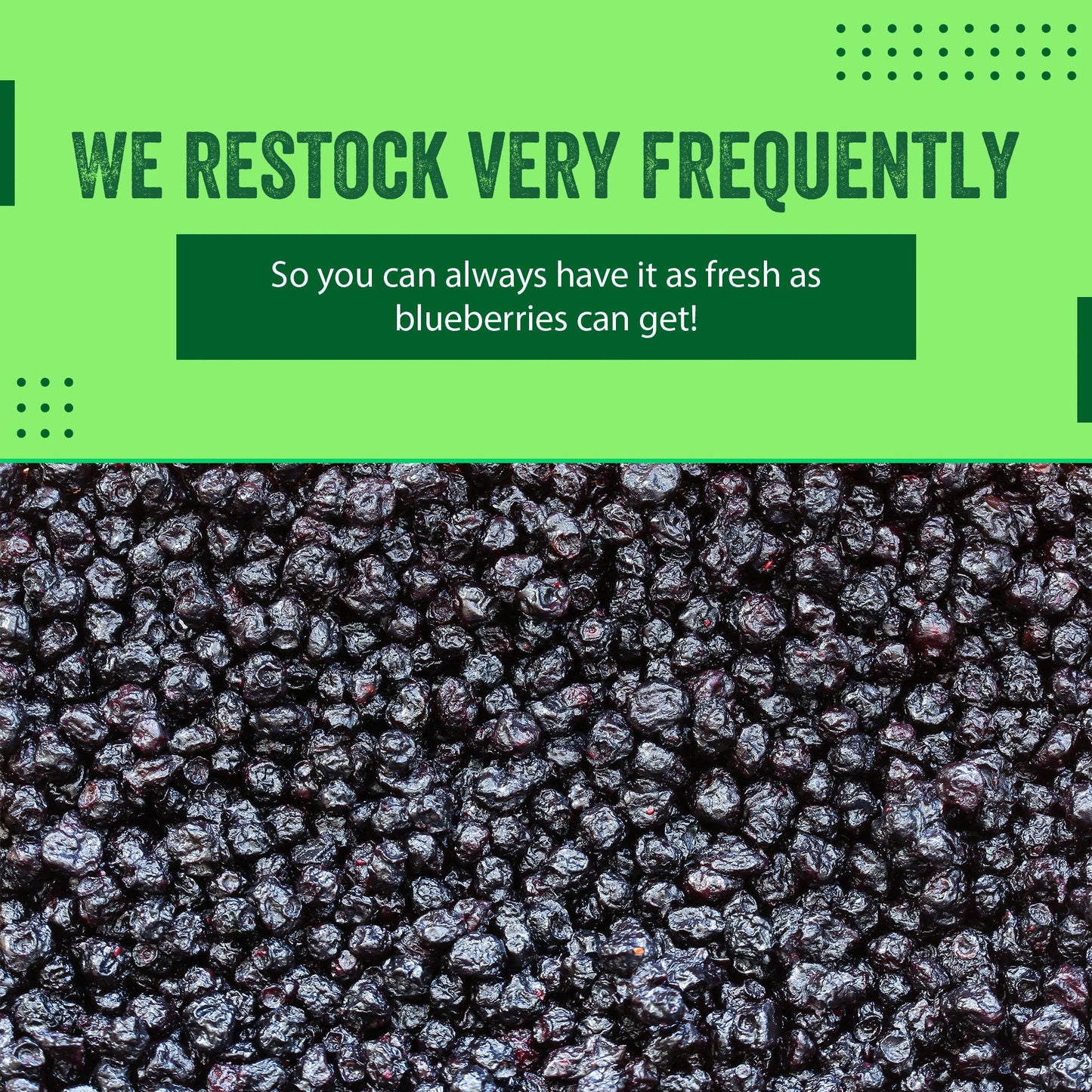 IM A NUT Dried Blueberries, Whole, Resealable Bag, 2 lbs, Great for Salads, Mixes, Cooking and Baking
