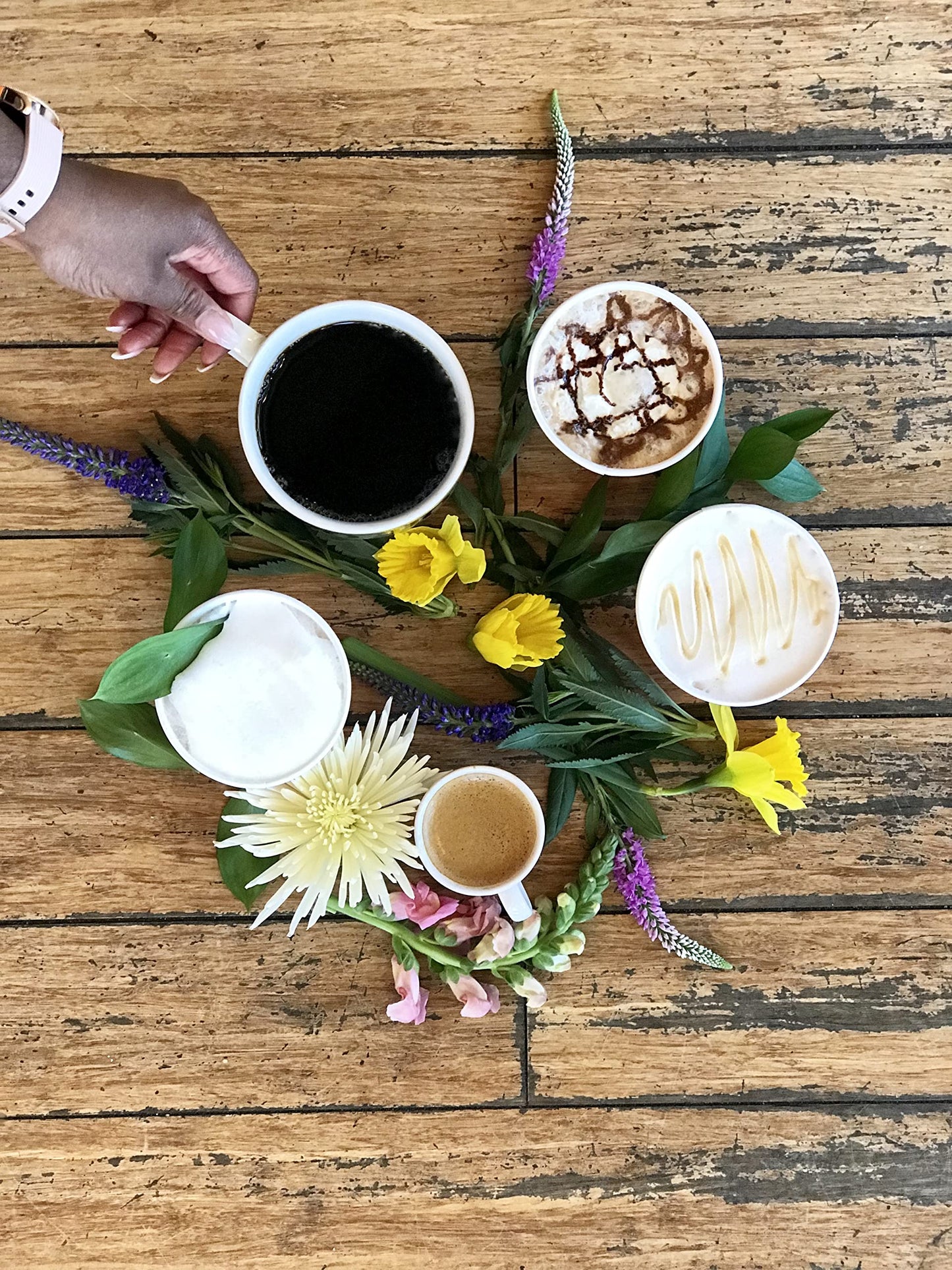 Dazbog Coffee | White Nights Espresso Blend | Whole Bean Coffee | 11 Oz. | Thick, Rich & Creamy Start | Deep, Well Rounded Flavor | Vacuum Sealed Freshness