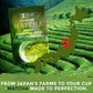 ETANATURE Premium Ceremonial Grade Matcha Powder, JAS Certified, 120g for Metabolism, Brain, and Sleep, Green Tea from Japan