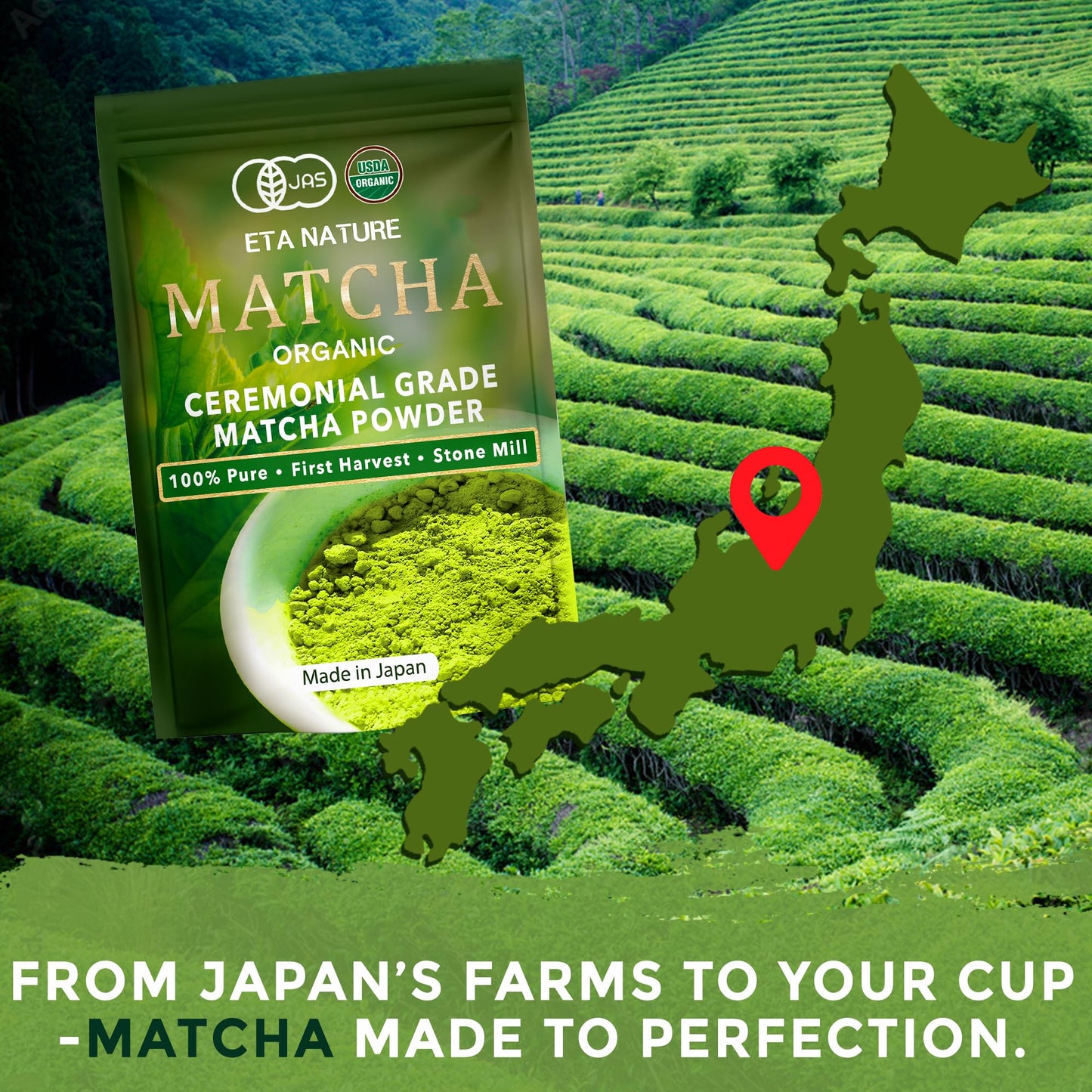 ETANATURE Premium Ceremonial Grade Matcha Powder, JAS Certified, 120g for Metabolism, Brain, and Sleep, Green Tea from Japan