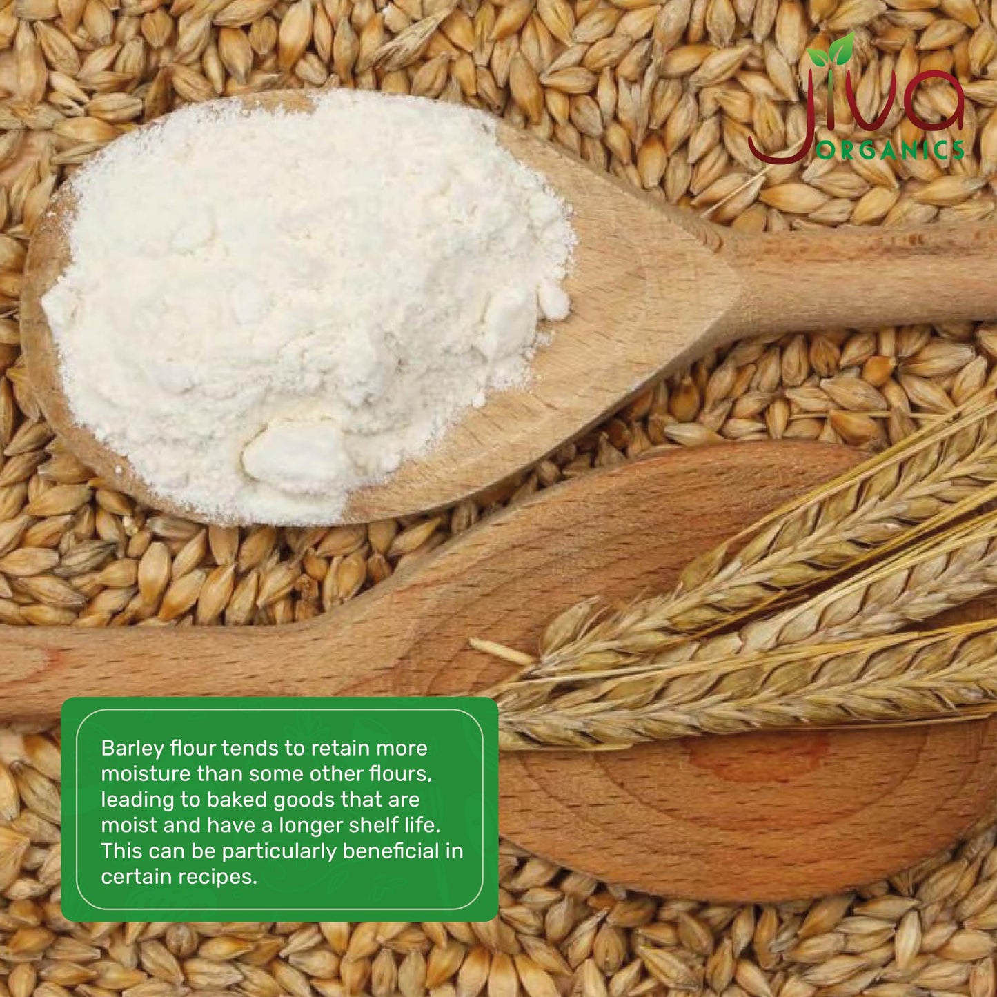 Jiva Organic Barley Flour 2 Pound - All Natural & Raw - Product Of India